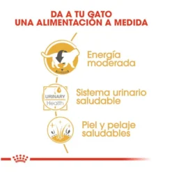 Royal Canin Sobre en Salsa British Shorthair Adult