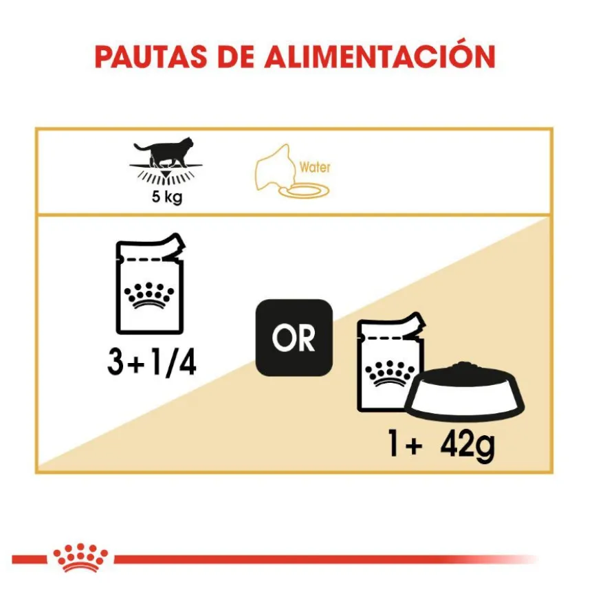 Royal Canin Sobre en Salsa British Shorthair Adult