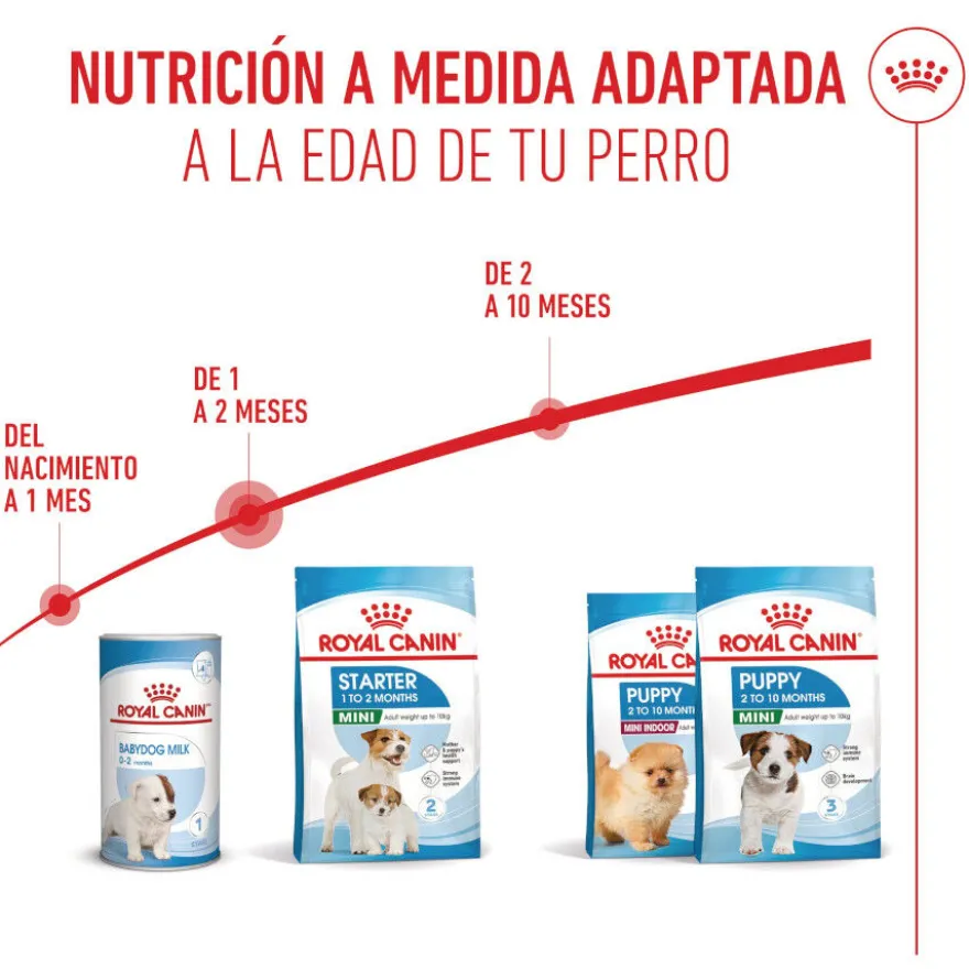 Royal Canin Starter MotheryBaby Mini pienso para perros
