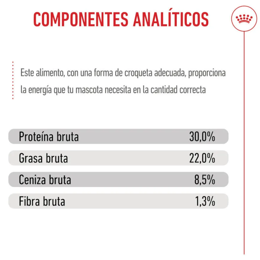 Royal Canin Starter MotheryBaby Mini pienso para perros