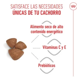 Royal Canin Starter MotheryBaby Mini pienso para perros
