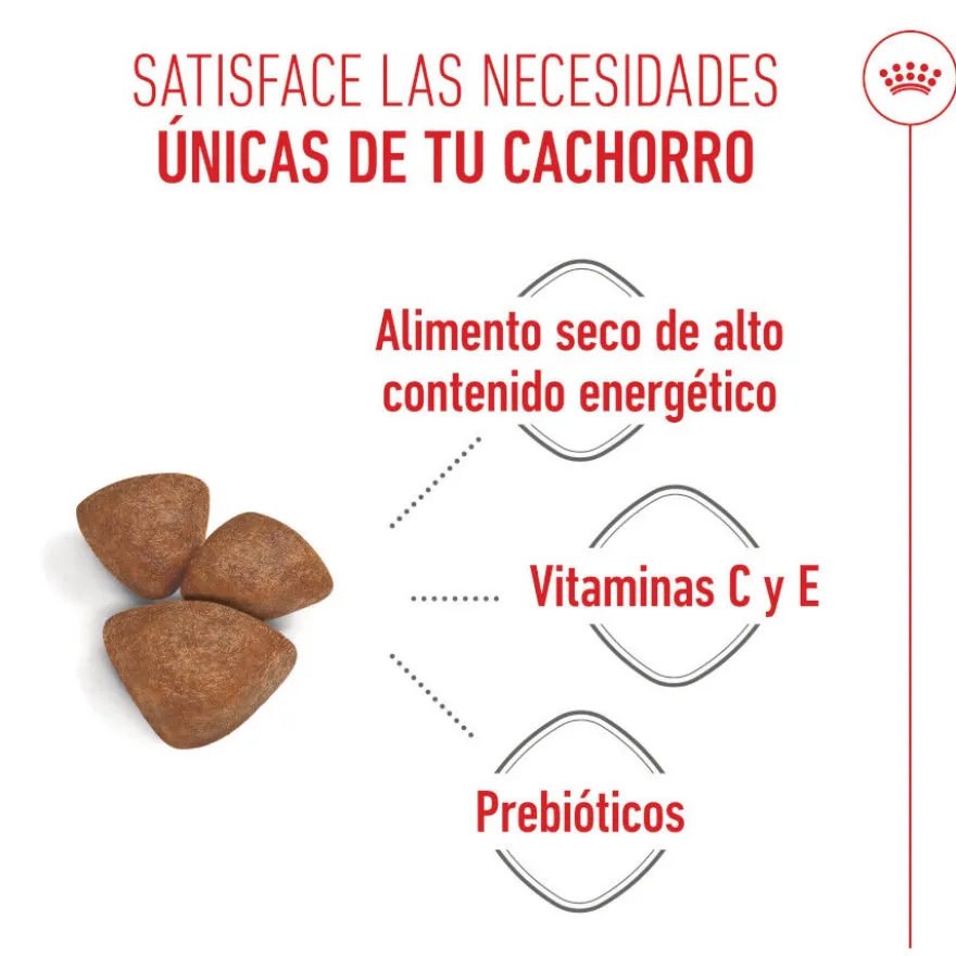 Royal Canin Starter MotheryBaby Mini pienso para perros