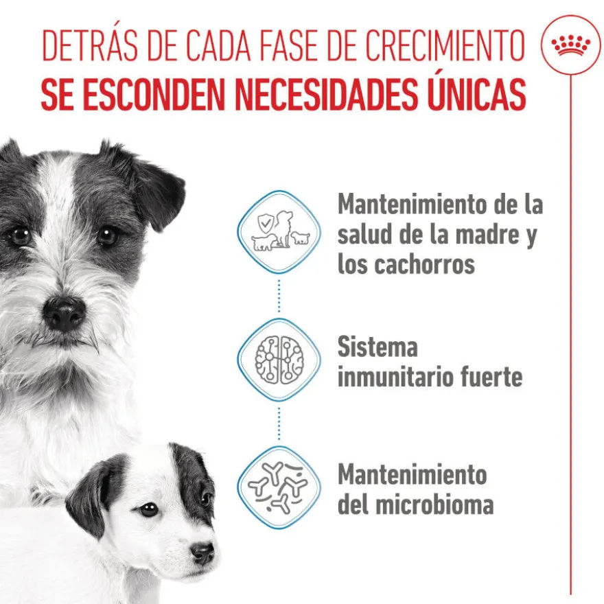 Royal Canin Starter MotheryBaby Mini pienso para perros