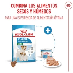 Royal Canin Starter MotheryBaby Mini pienso para perros