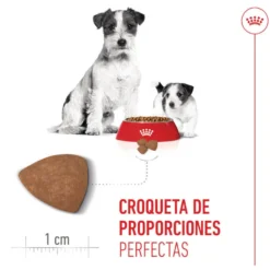 Royal Canin Starter MotheryBaby Mini pienso para perros