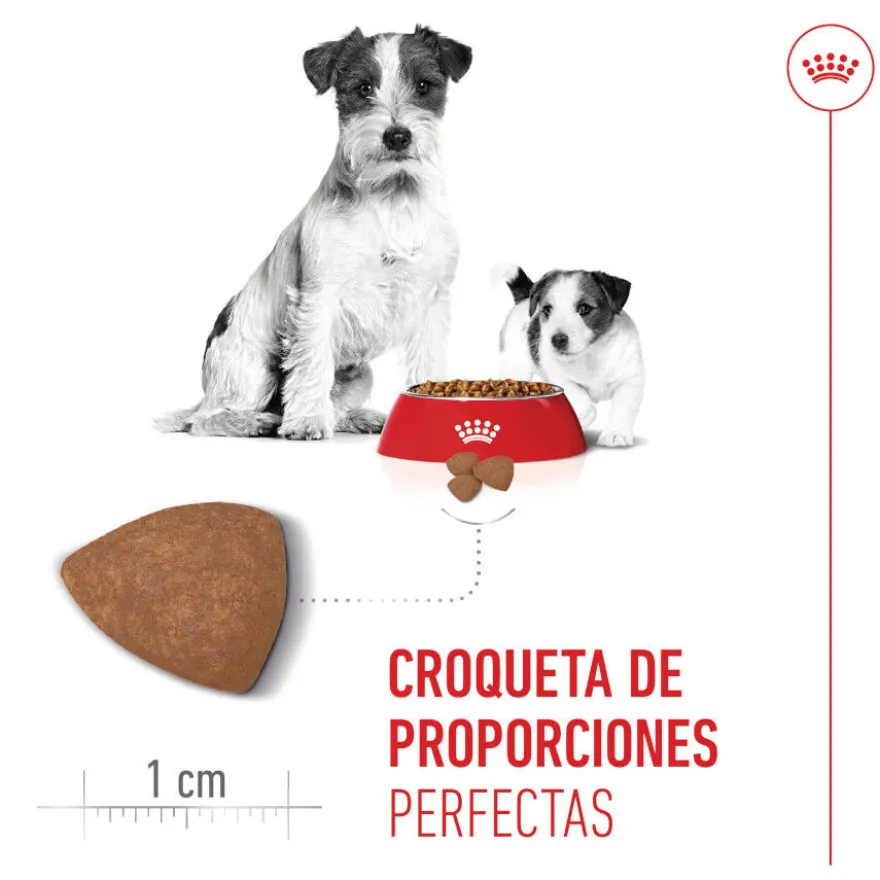 Royal Canin Starter MotheryBaby Mini pienso para perros