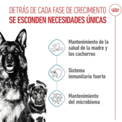 Royal Canin Starter MotheryBaby Maxi pienso para perros