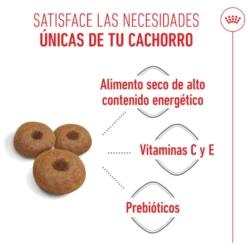 Royal Canin Starter MotheryBaby Maxi pienso para perros
