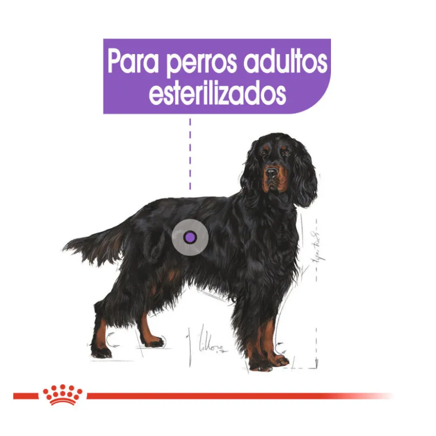 Royal Canin Sterilised Maxi pienso para perros
