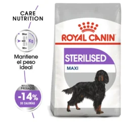 Royal Canin Sterilised Maxi pienso para perros