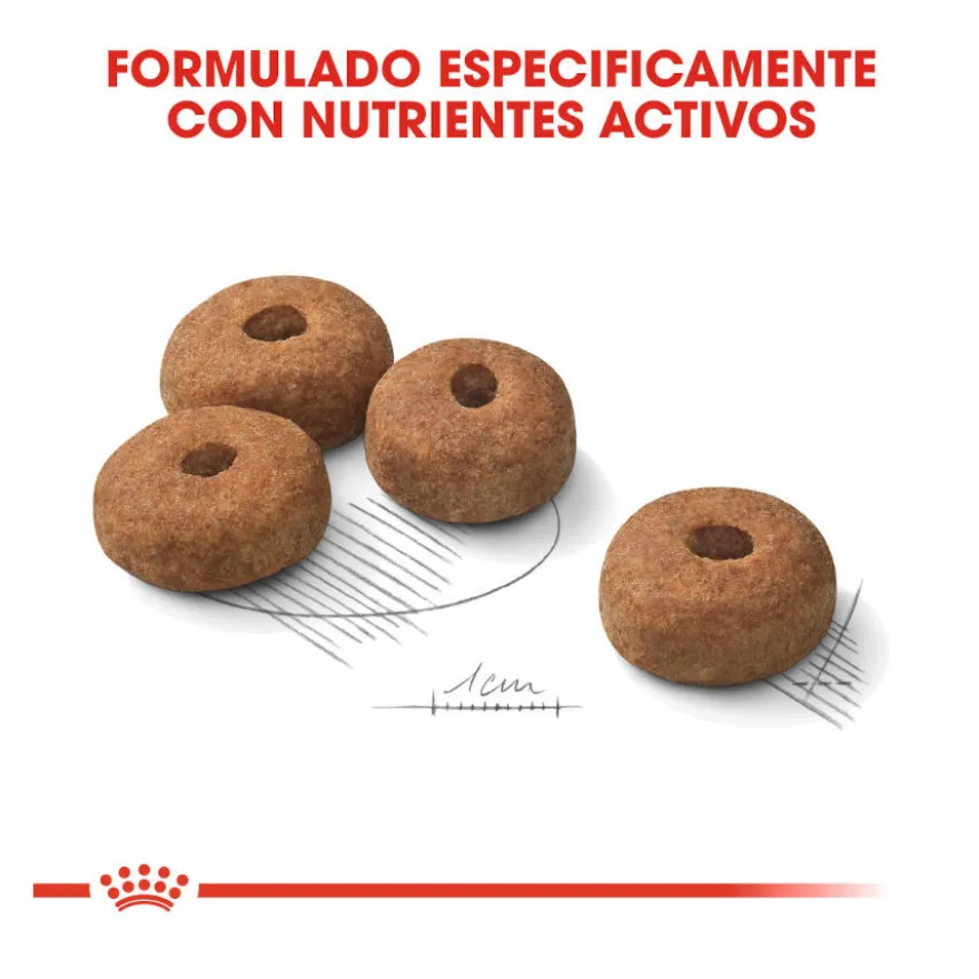 Royal Canin Sterilised Maxi pienso para perros