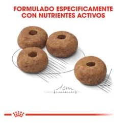 Royal Canin Sterilised Medium pienso para perros