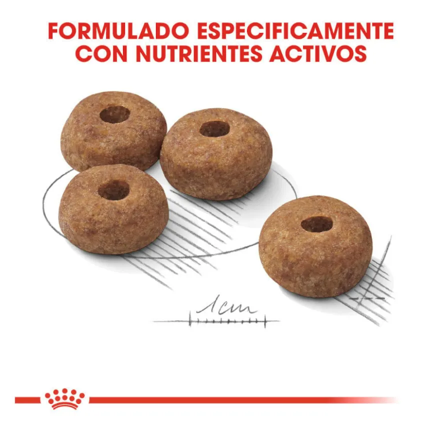 Royal Canin Sterilised Medium pienso para perros