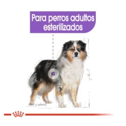 Royal Canin Sterilised Medium pienso para perros