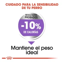 Royal Canin Sterilised Medium pienso para perros