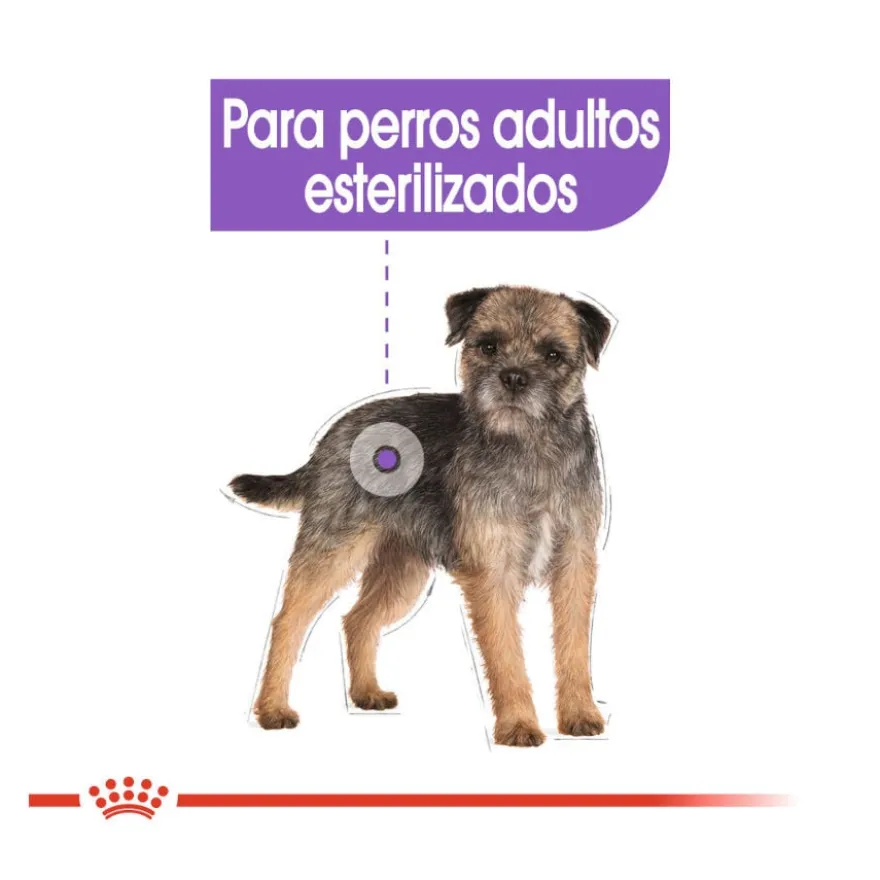 Royal Canin Sterilised Mini pienso para perros