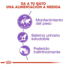 Royal Canin Sterilised Paté sobre para gatos