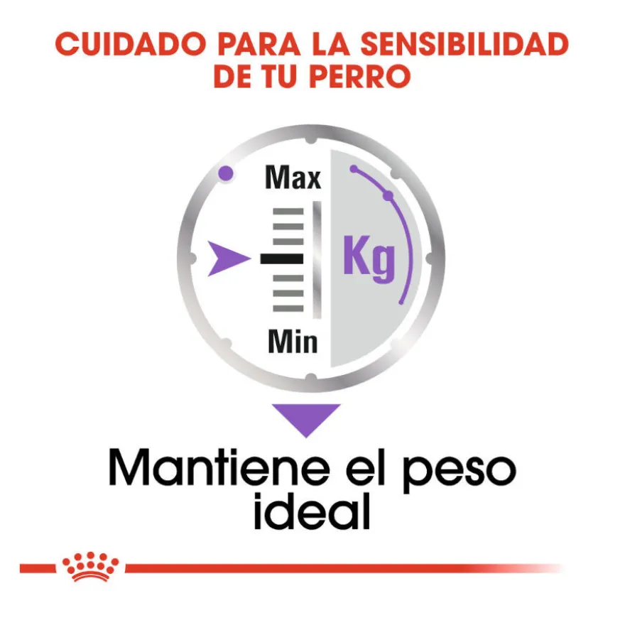 Royal Canin Sterilised Sobres Paté para perros