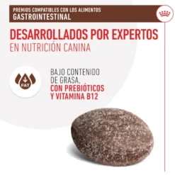 Royal Canin Treats Gastrointestinal Snacks para Perros