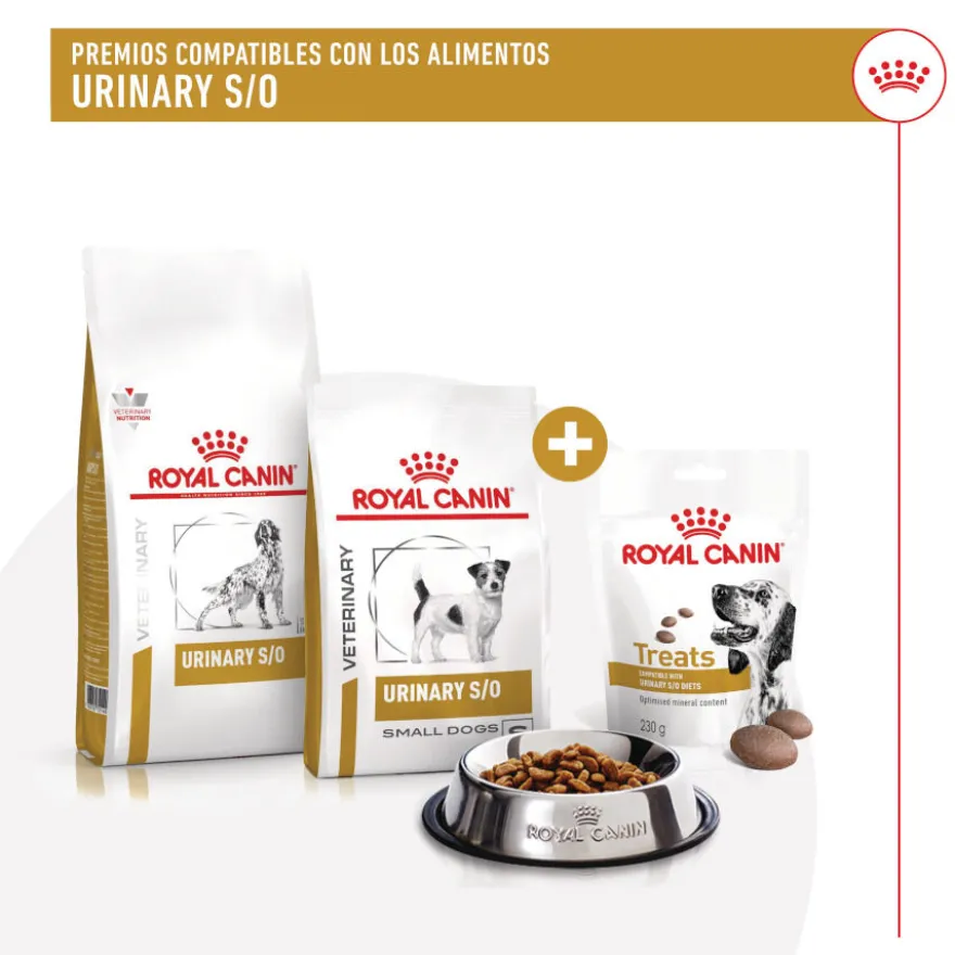 Royal Canin Treats Urinary Snacks para perros