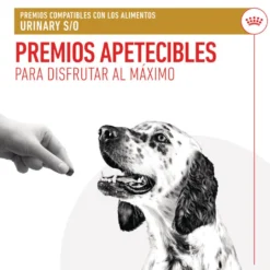 Royal Canin Treats Urinary Snacks para perros