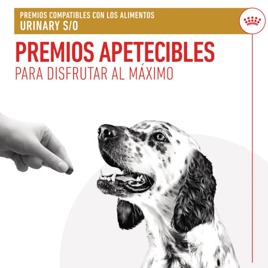 Royal Canin Treats Urinary Snacks para perros