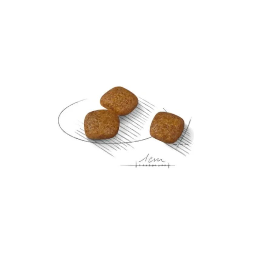 Royal Canin Urinary Care Mini pienso para perros