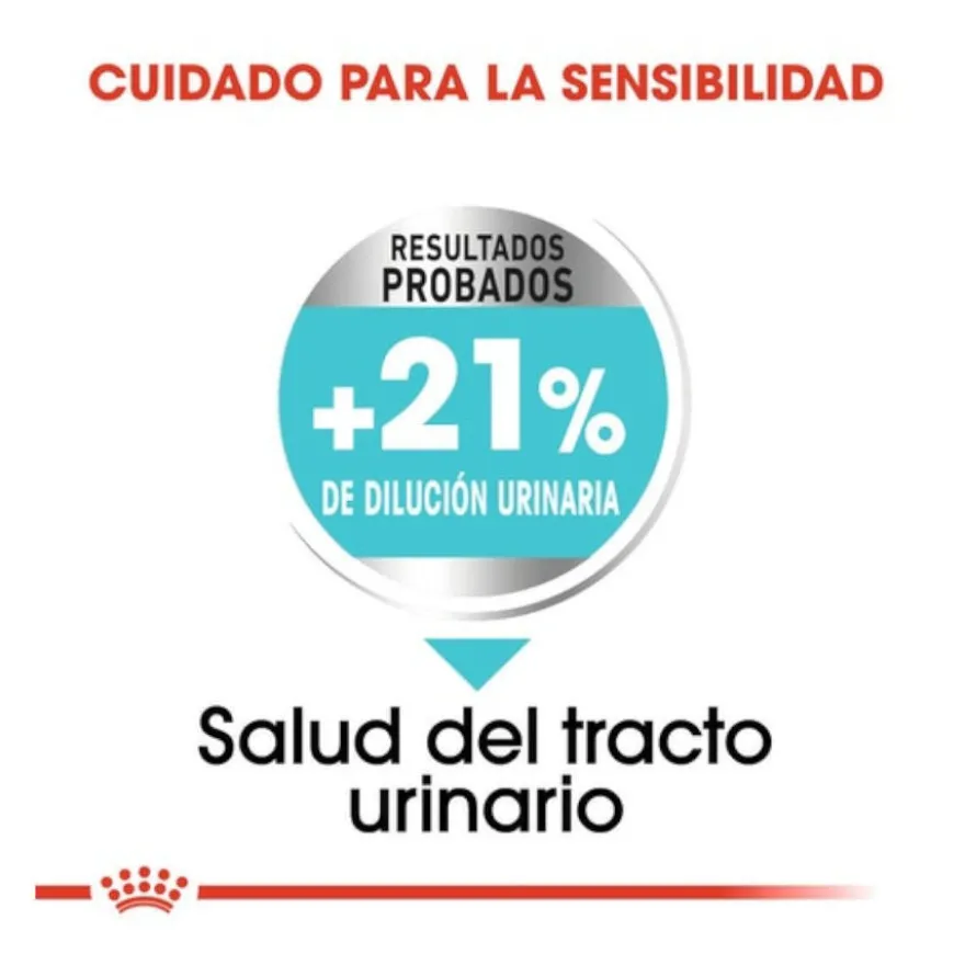 Royal Canin Urinary Care Mini pienso para perros
