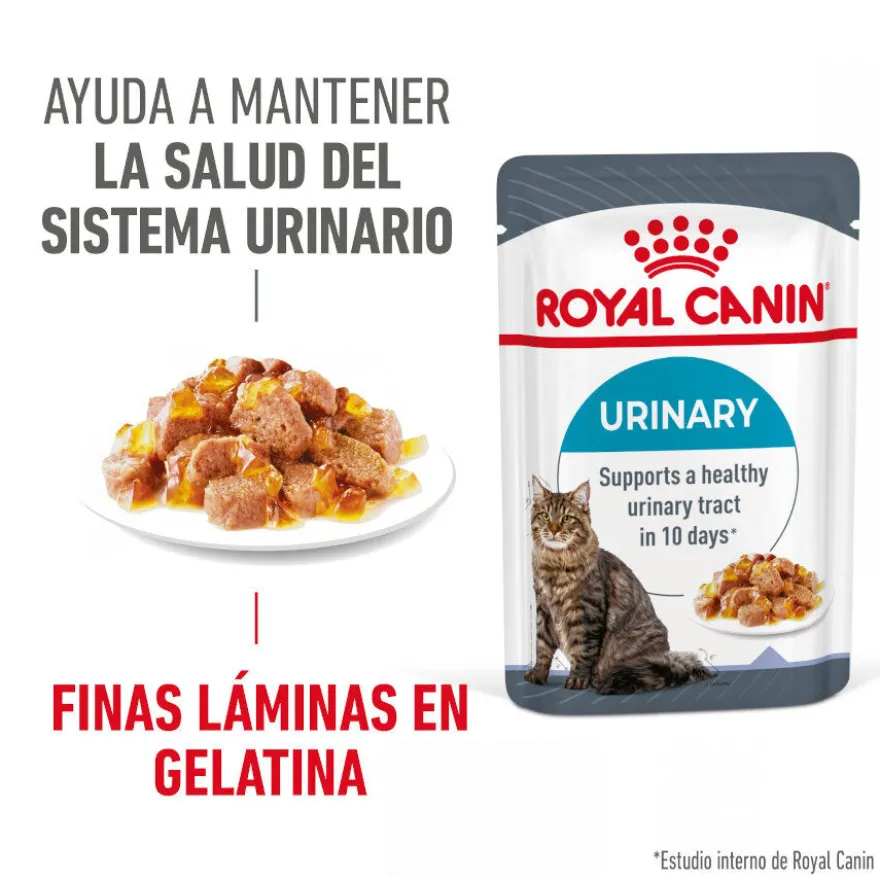Royal Canin Urinary Care Sobre en Gelatina para gatos