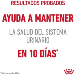 Royal Canin Urinary pienso para gatos