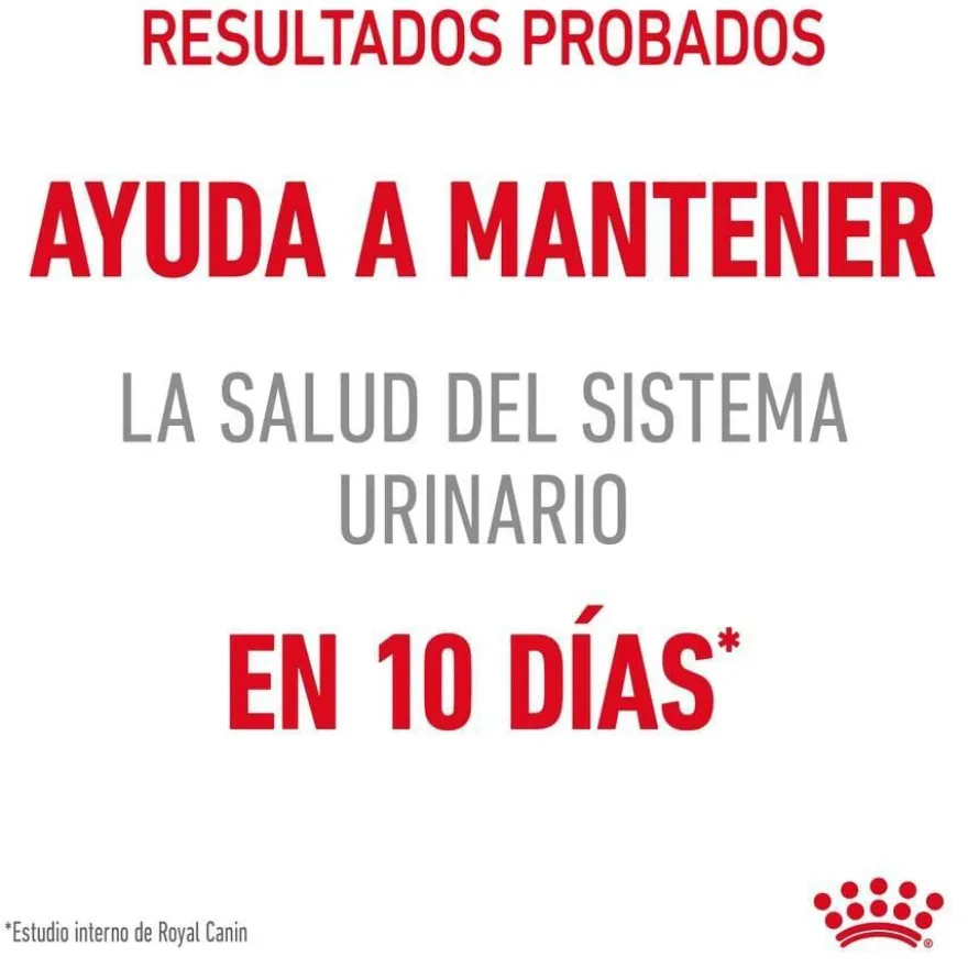 Royal Canin Urinary pienso para gatos