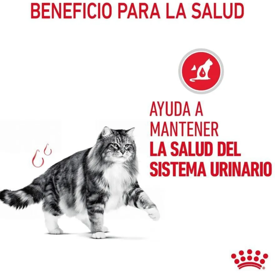 Royal Canin Urinary pienso para gatos