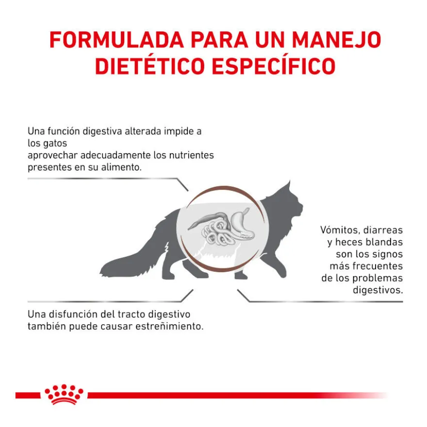 Royal Canin Veterinary Gastrointestinal Fibre Response pienso para gatos