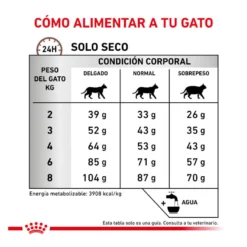 Royal Canin Veterinary Gastrointestinal Fibre Response pienso para gatos