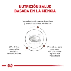 Royal Canin Veterinary Gastrointestinal Moderate Calorie pienso para gatos