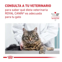 Royal Canin Veterinary Gastrointestinal Hairball pienso para gatos