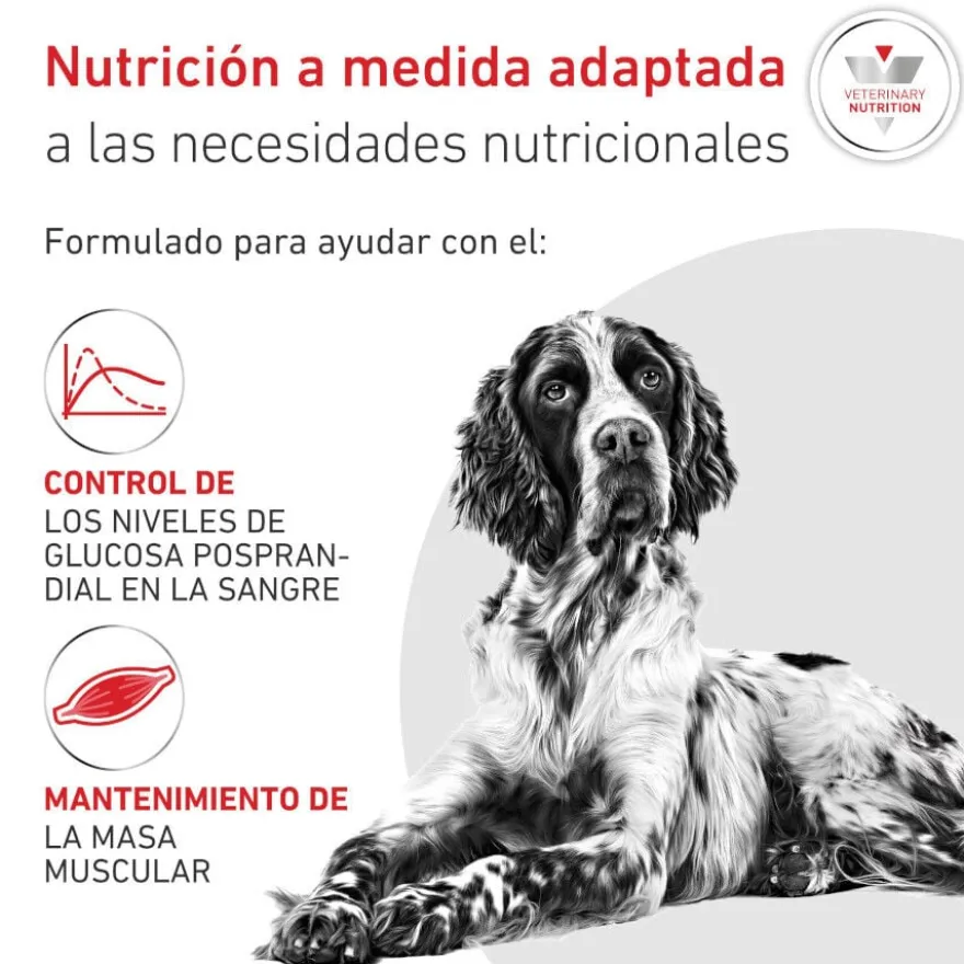 Royal Canin Veterinary Glycobalance Pienso para perros