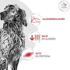 Royal Canin Veterinary Glycobalance Pienso para perros