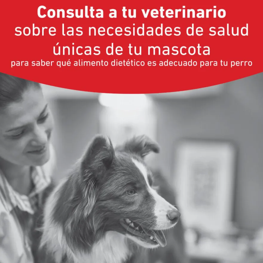 Royal Canin Veterinary Glycobalance Lata para perros