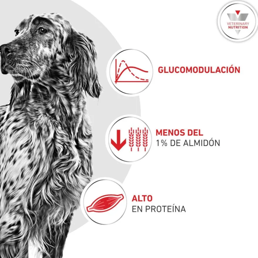 Royal Canin Veterinary Glycobalance Lata para perros