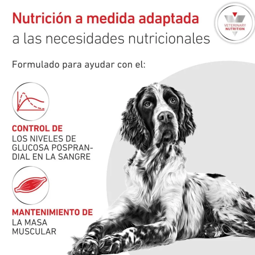 Royal Canin Veterinary Glycobalance Lata para perros