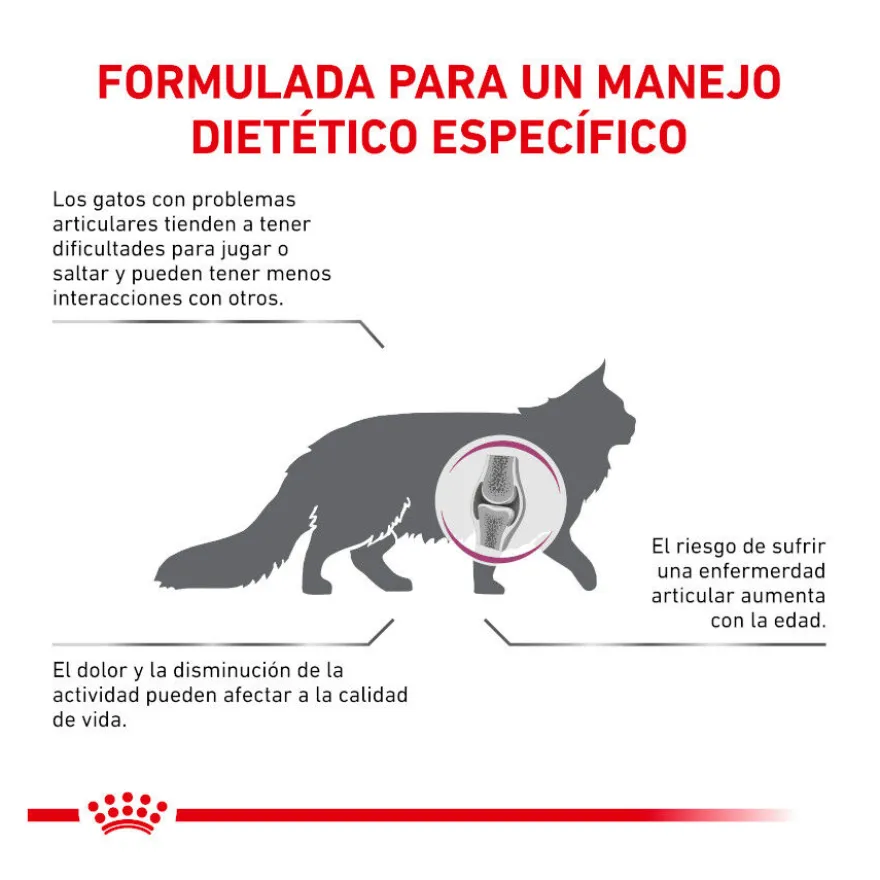 Royal Canin Veterinary Mobility pienso para gatos