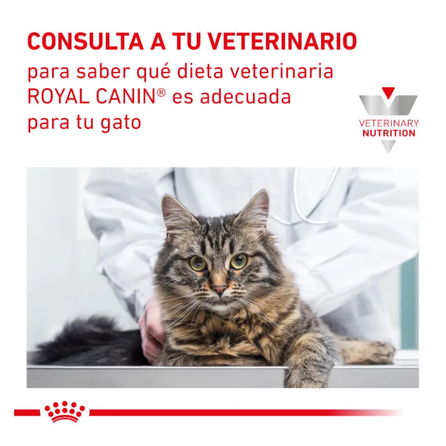 Royal Canin Veterinary Mobility pienso para gatos