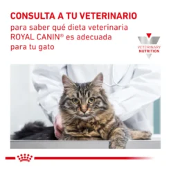Royal Canin Veterinary Renal pienso para gatos