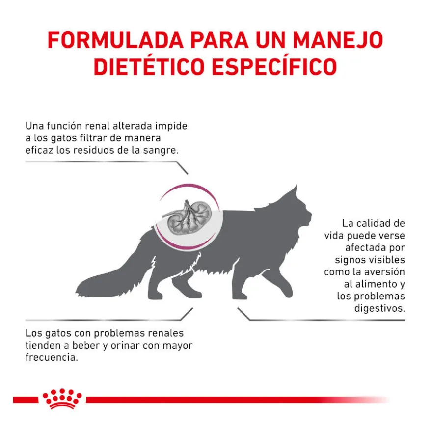 Royal Canin Veterinary Renal pienso para gatos