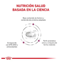 Royal Canin Veterinary Renal pienso para gatos