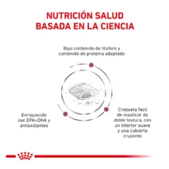 Royal Canin Veterinary Renal Select pienso para gatos