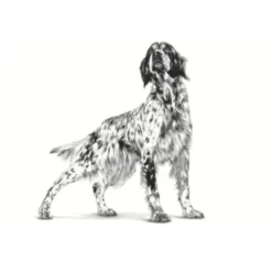 Royal Canin Veterinary Sensitivity Control Pato y Arroz lata para perros