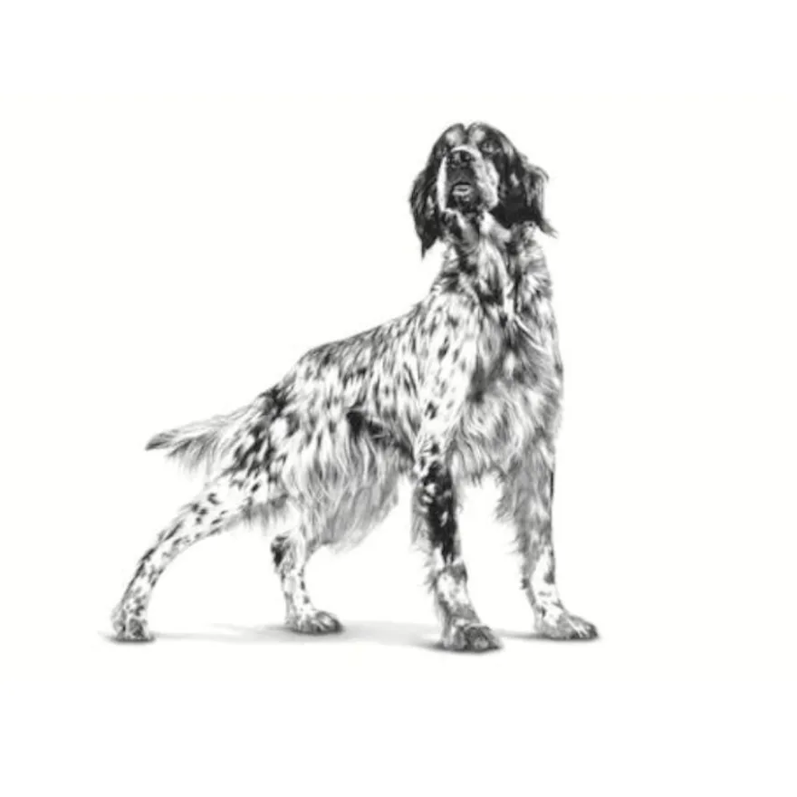 Royal Canin Veterinary Sensitivity Control Pato y Arroz lata para perros