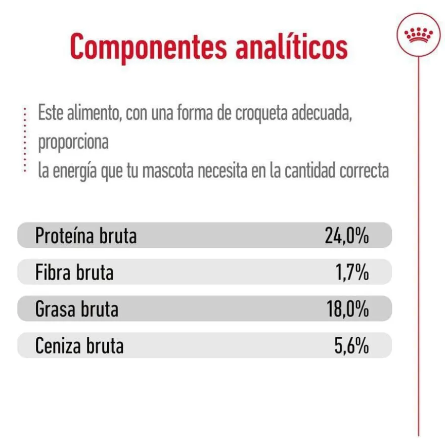 Royal Canin X-Small Adult pienso para perros